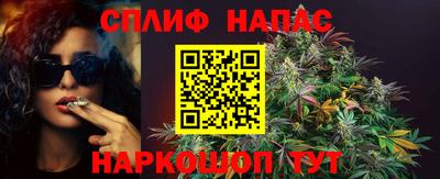 СК Коммунар