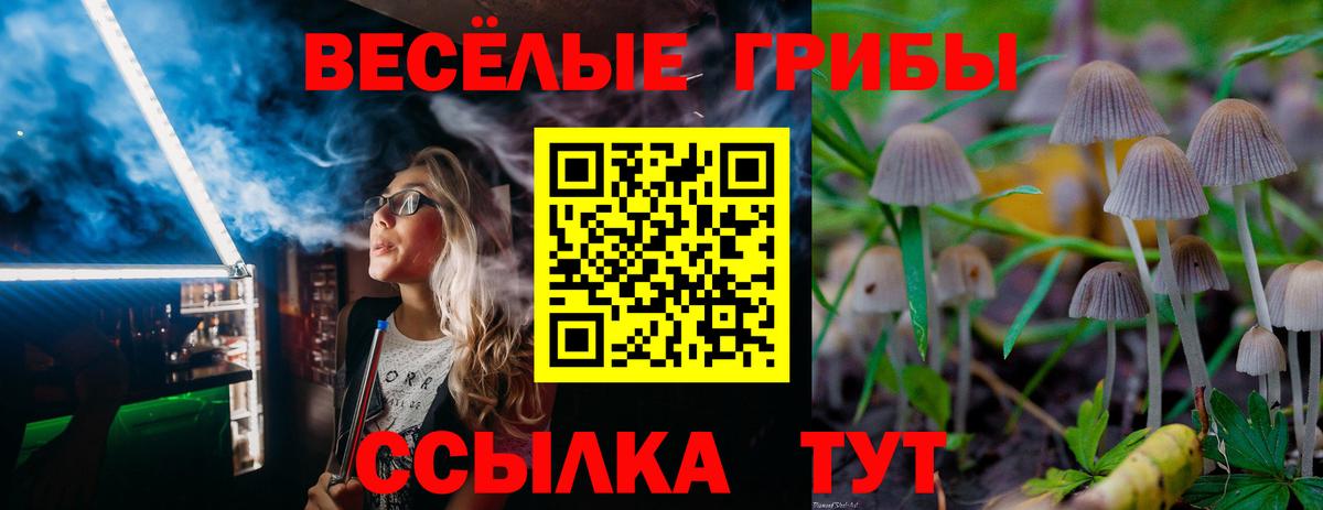 Псилоцибиновые грибы Magic Shrooms Валуйки