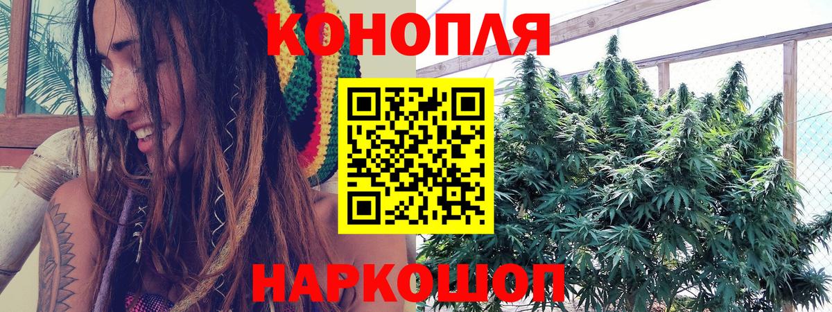Бошки Шишки тримм  Вход с VPN  Валуйки  Марихуана Bruce Banner  Марихуана ГИДРОПОН 